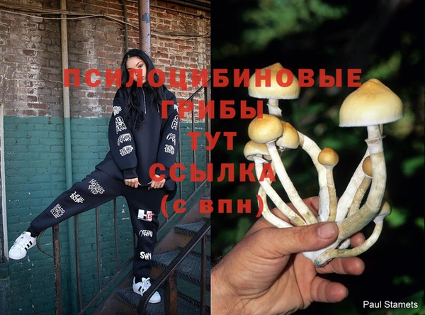 соль курить ск Гусев