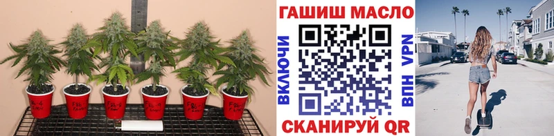 что такое наркотик Енисейск ТГК гашишное масло